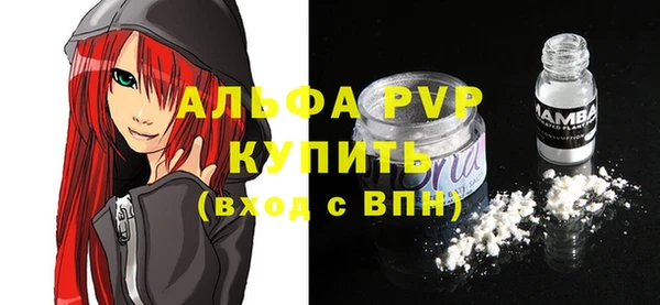 стафф Вязьма