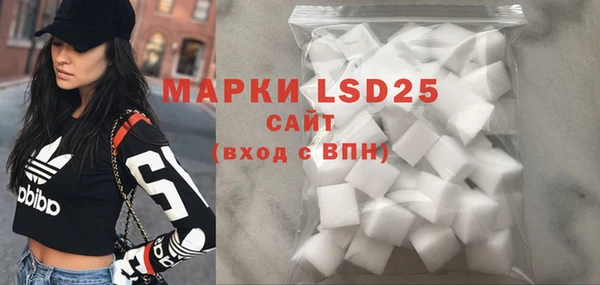 шишки Няндома