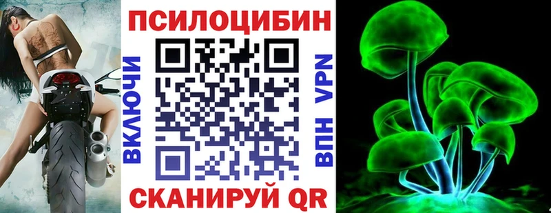 OMG Павловский Посад Псилоцибиновые грибы мицелий