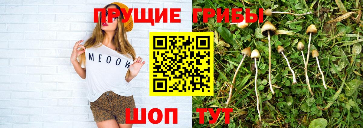 КОКАИН Павловский Посад