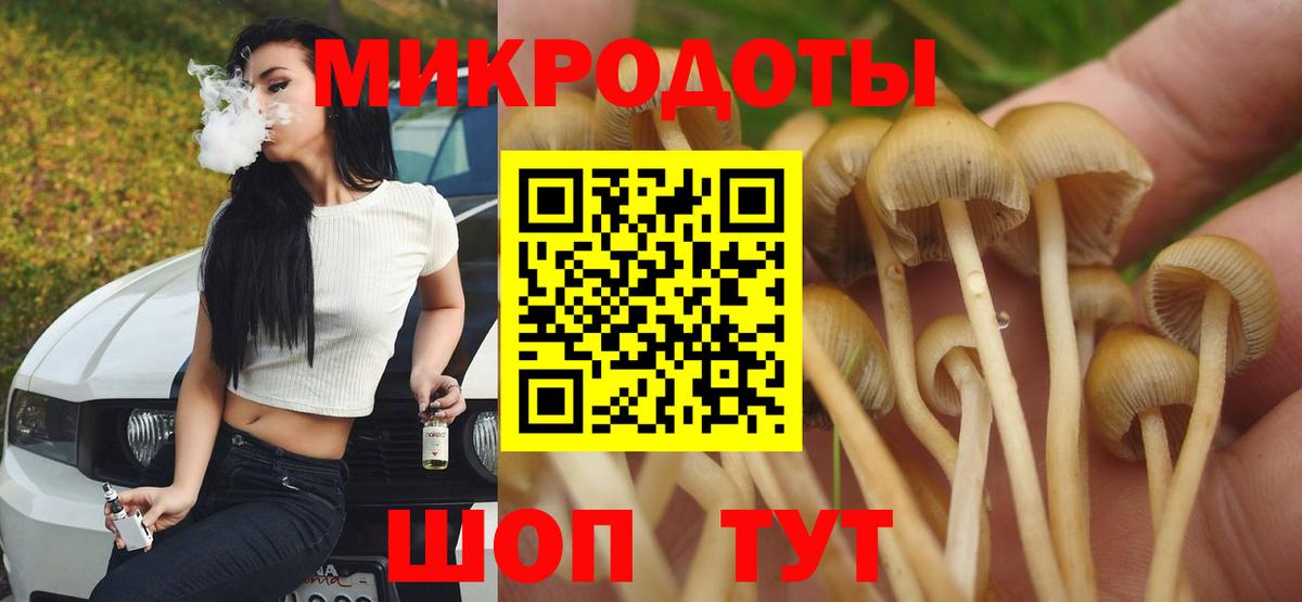 Галлюциногенные грибы Cubensis  Псилоцибиновые грибы Psilocybine cubensis  Павловский Посад  Вход с VPN 