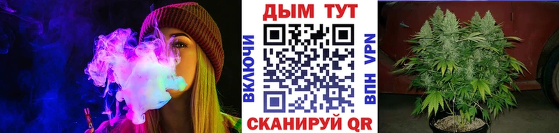 где найти наркотики  Павловский Посад  Канабис AK-47 